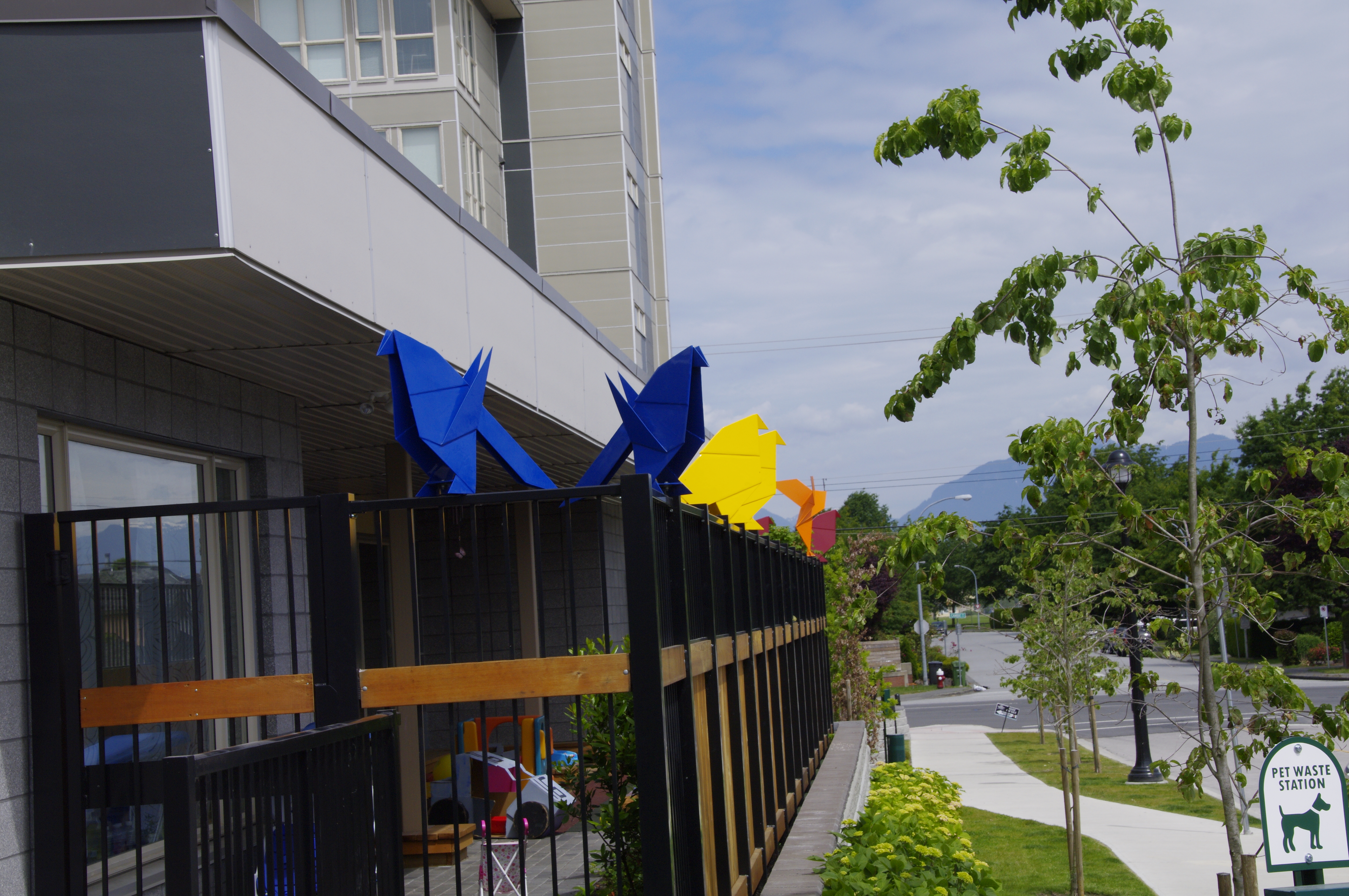 Rookery and Roost - song birds