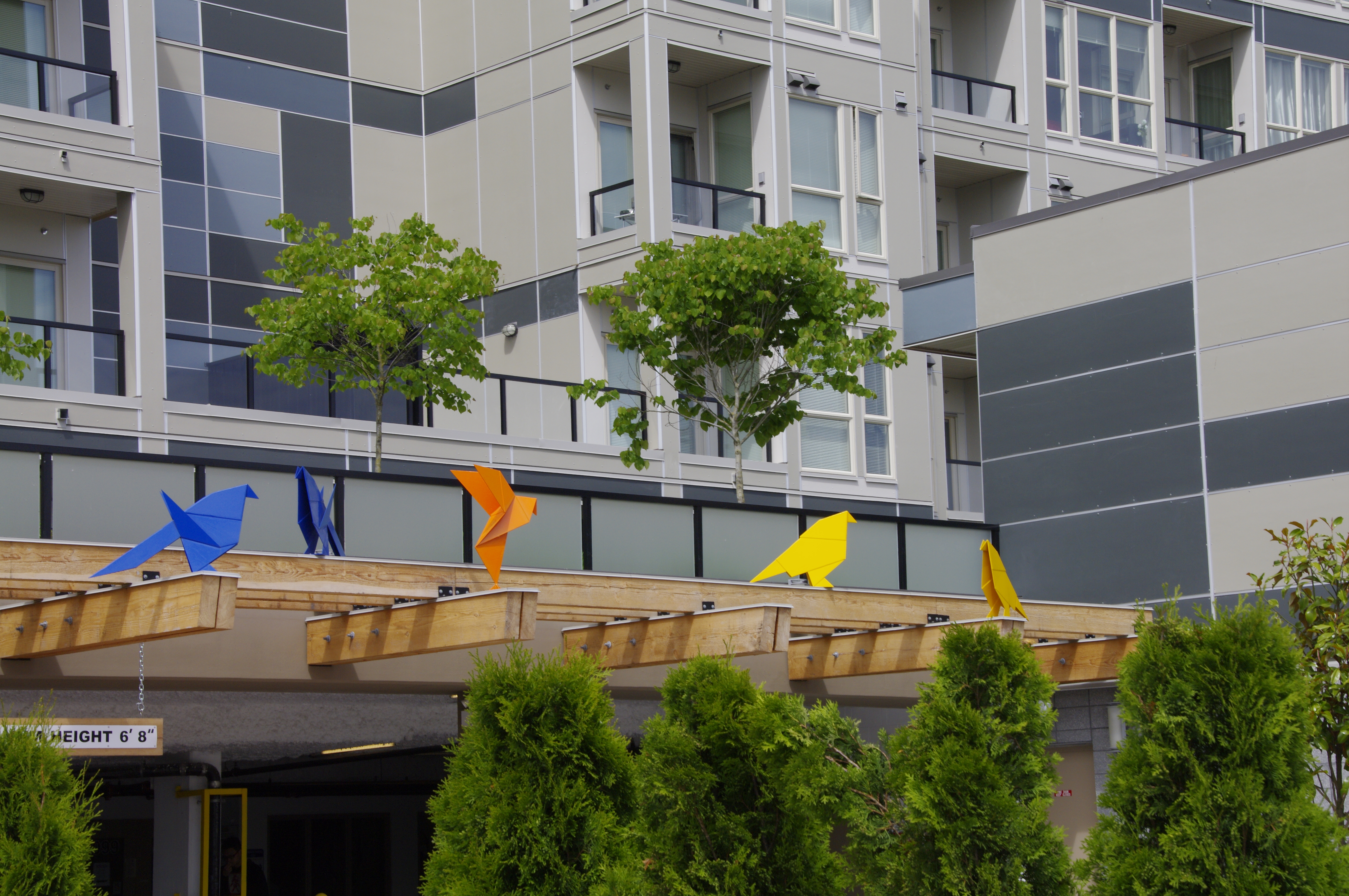 Rookery and Roost - song birds