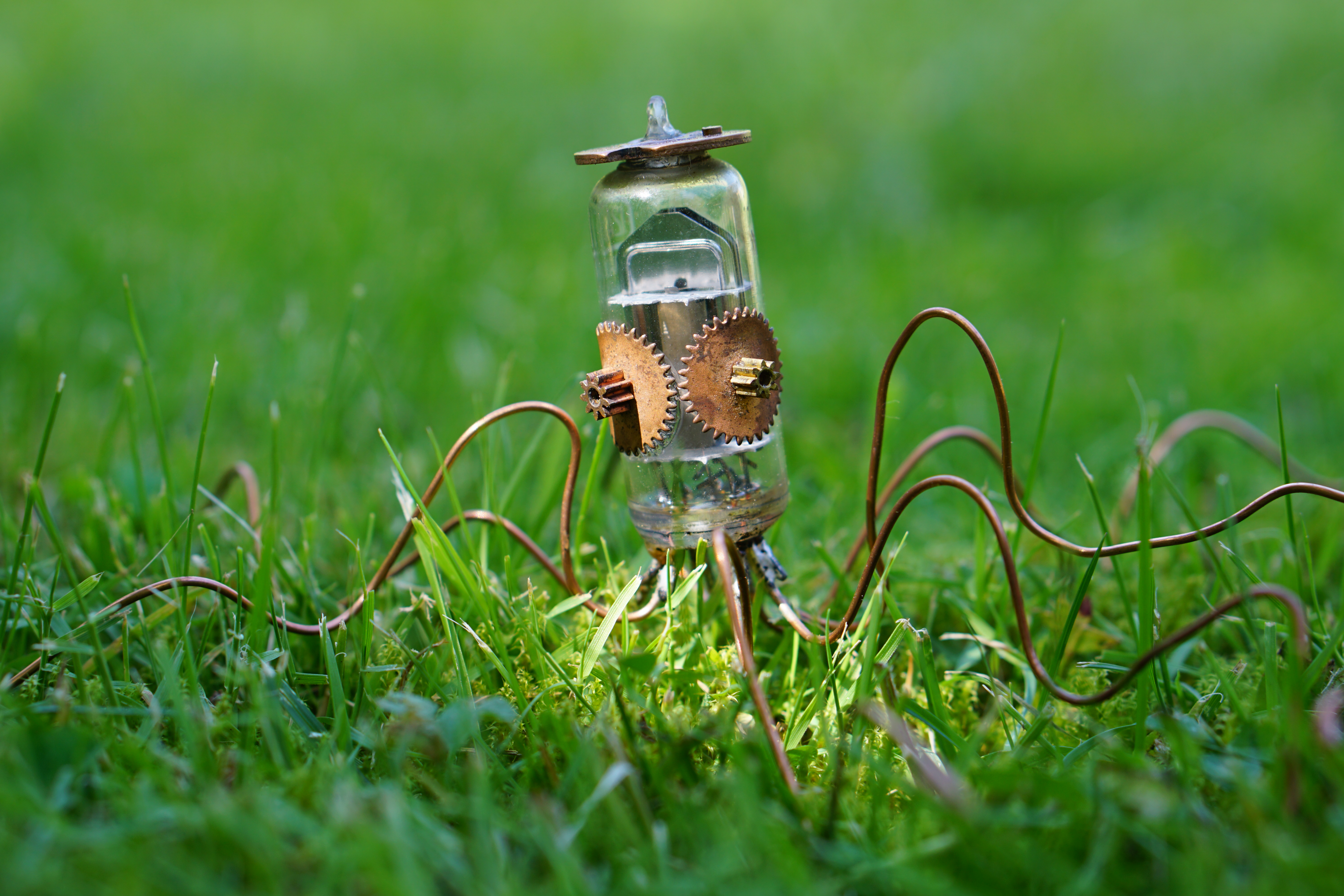 Radio tube cephalpod