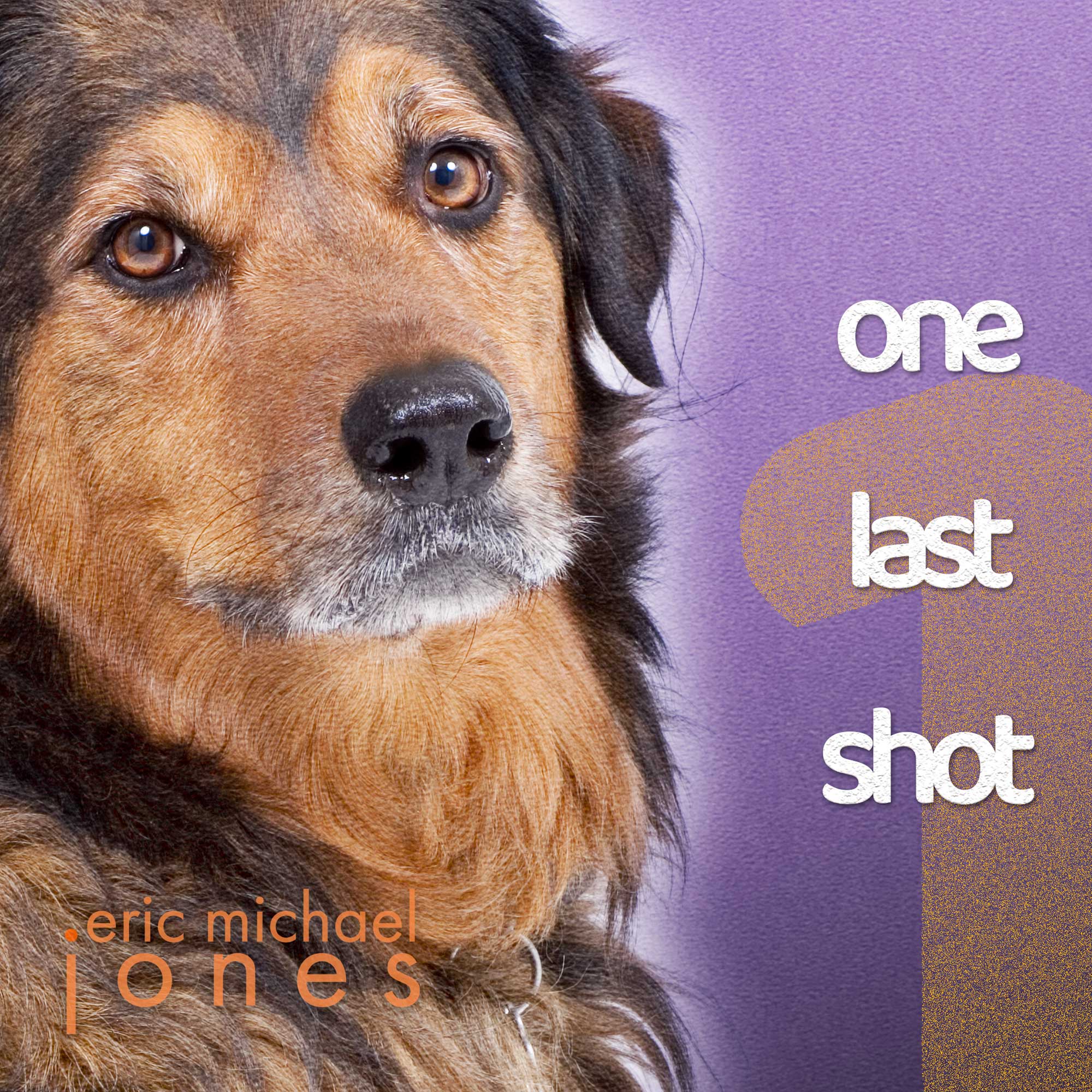 cover art for One Last Shot