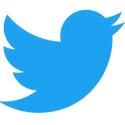 Gab take on Twitter?  Twitter Logo