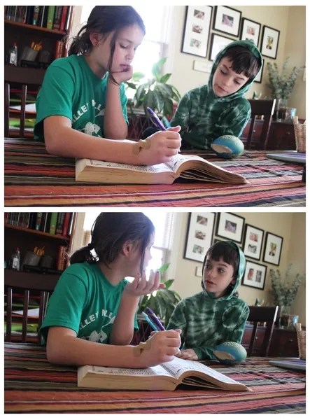 Kids homeschooling