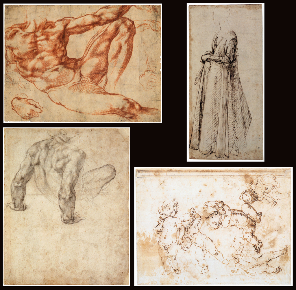 Master Drawings of the Italian Renaissance – Curriculum Vitae