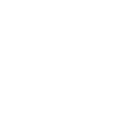 Vector