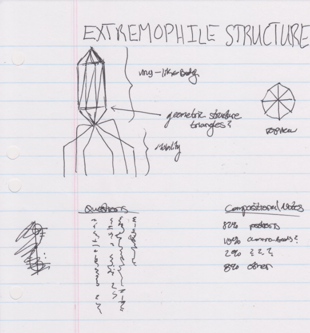 A drawn diagram labeling parts of a virus-appearing organism