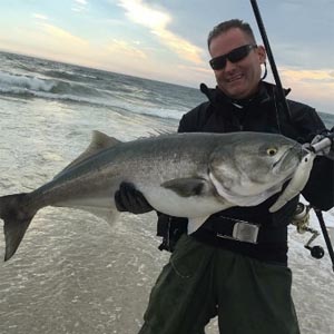 record bluefish