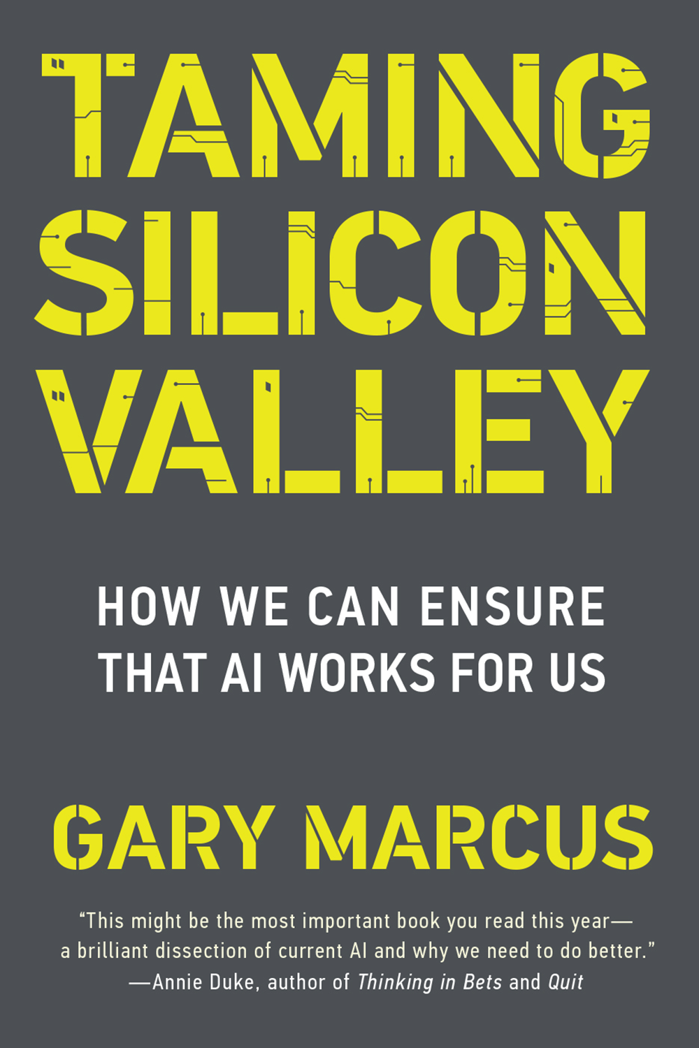 Taming Silicon Valley