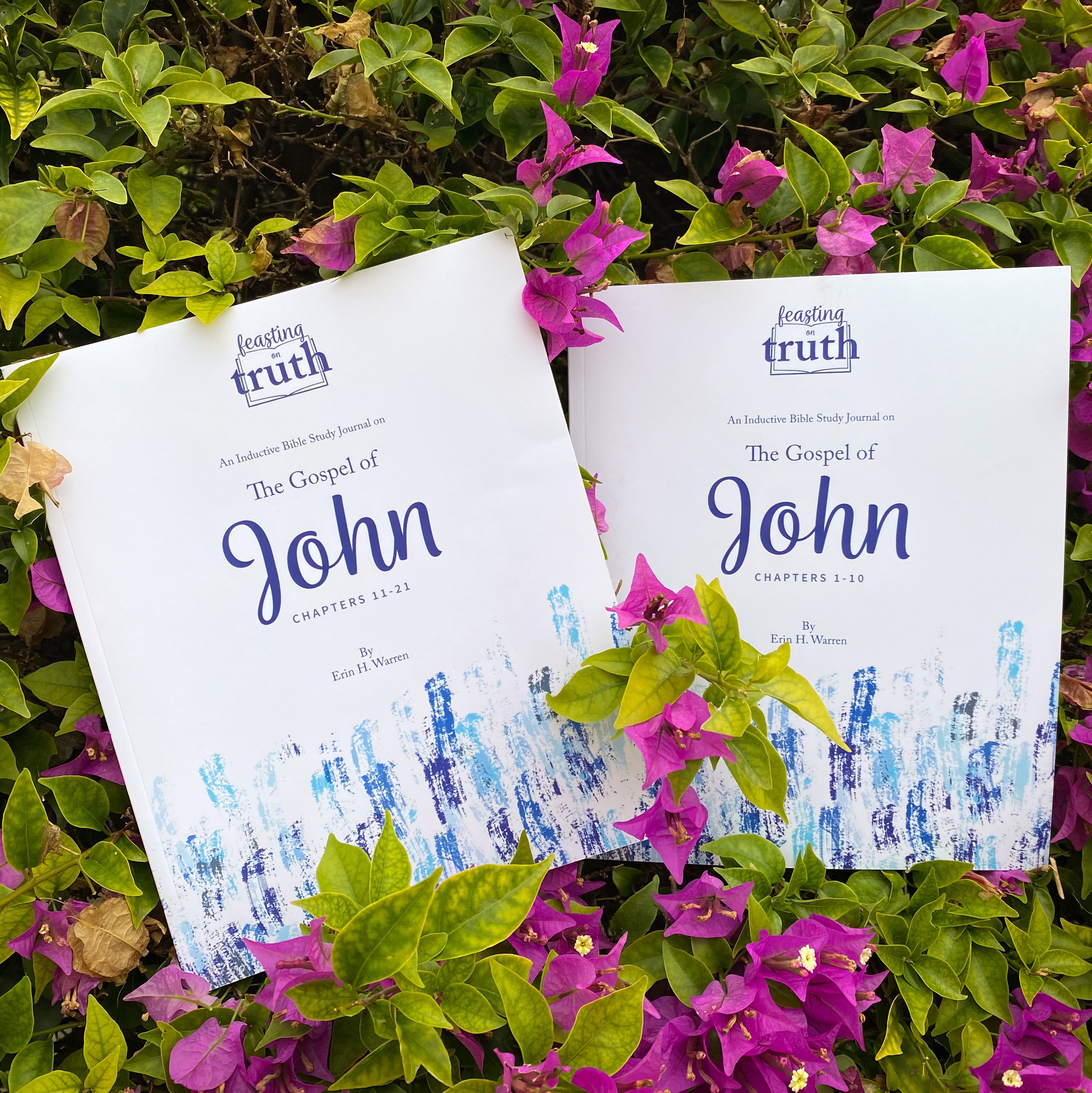 Erin And The Bible A Surprising Connection - vmyj43n