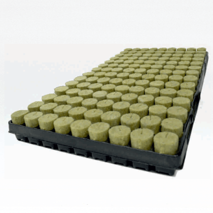 PLUG Basic 28mm x 35mm hole 126 - Per Tray