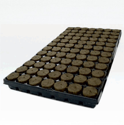 PLUG BOX  84 38mm x 40mm hole - CASE (11 trays)