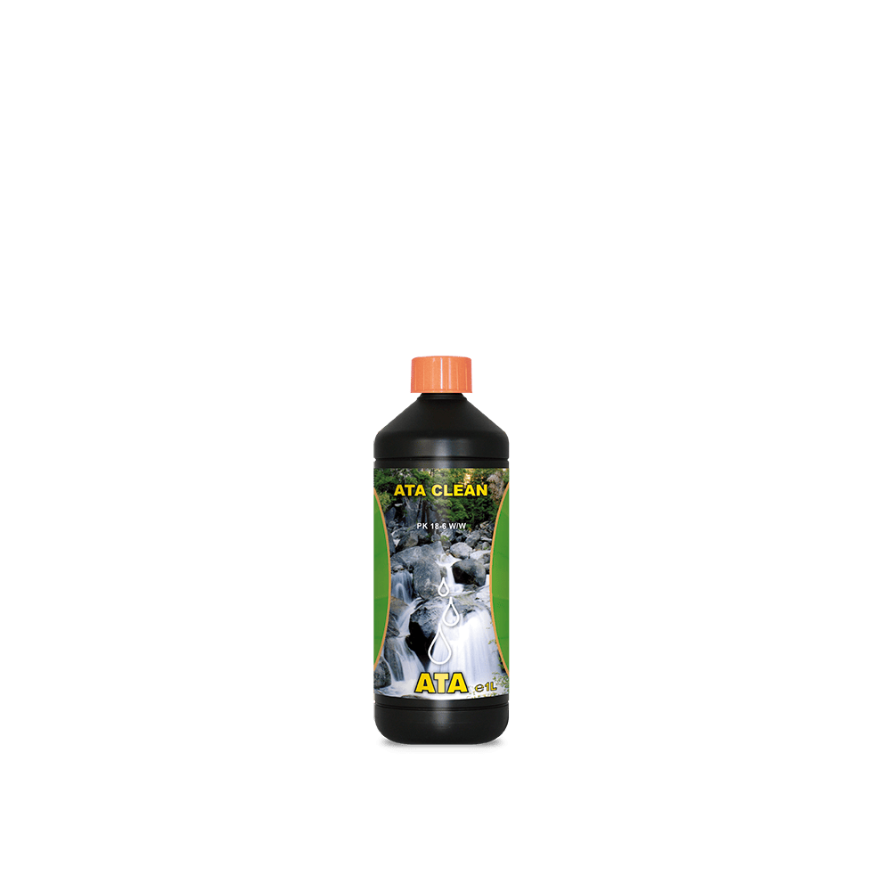Clean 1L