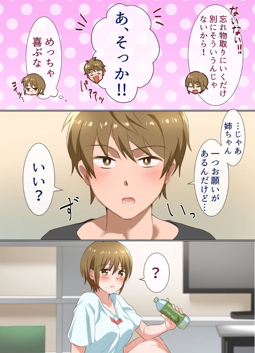 anegasukinaotoutohasekkusushitaiyokkyuugaosaerarezu_yotsutaaneniosoika