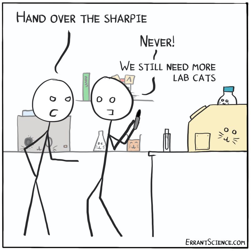 Why We All Need Lab Cats Errantscience - Download Amazing Gradient Art | Retina