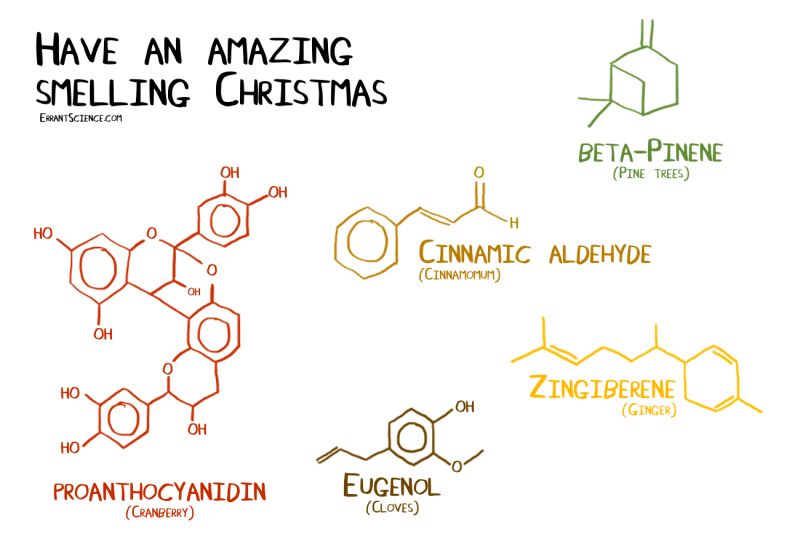 Errantscience Smelling Square - Best Light Images in HD