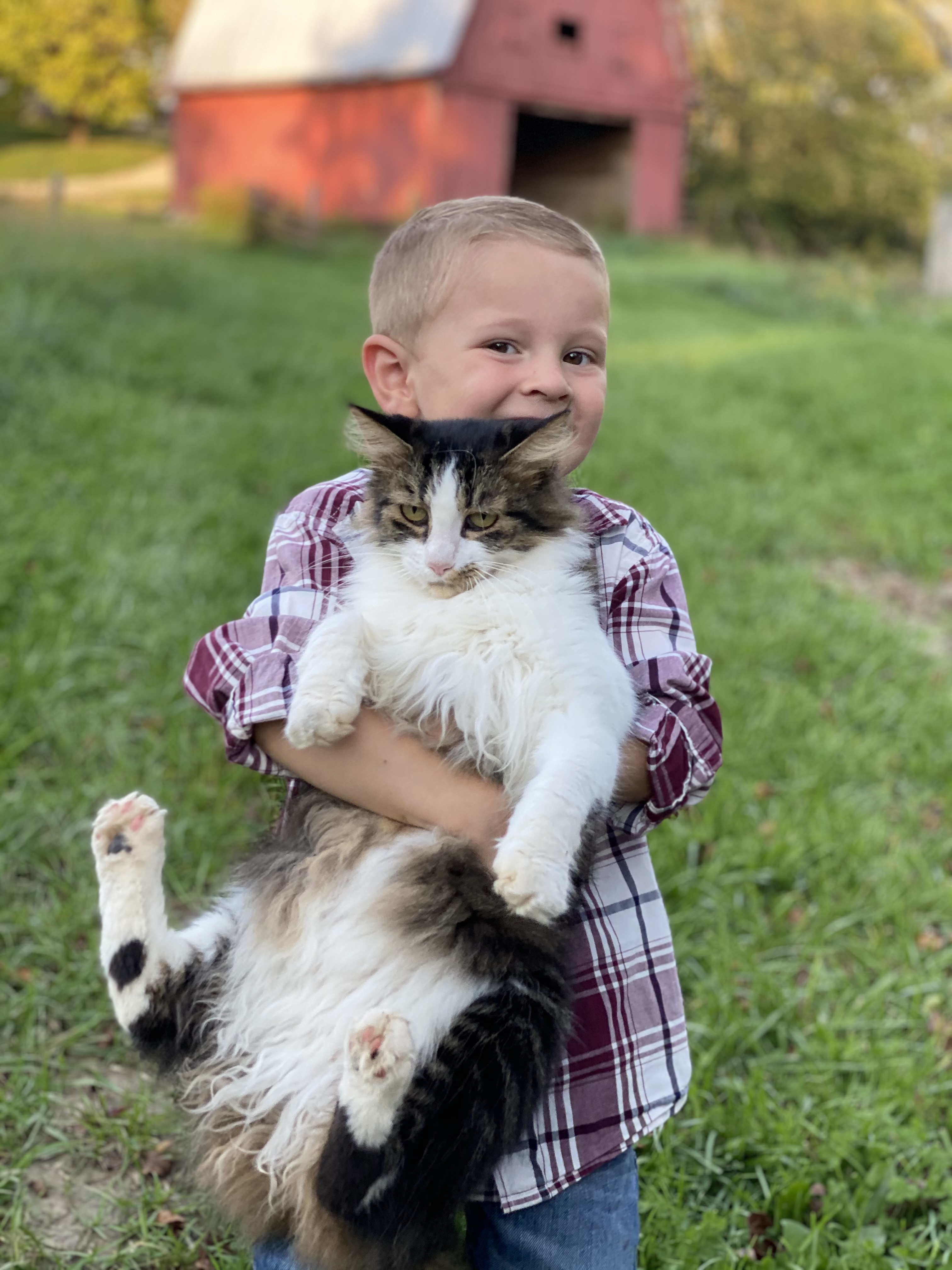 Crosby holding a cat