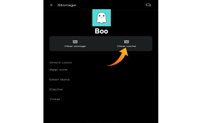 Cómo arreglar la aplicación Boo que no funciona (2024) 2 La aplicación Boo no funciona