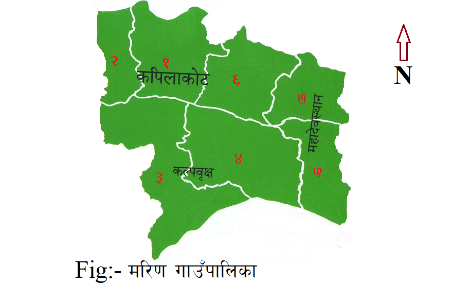 मरिणमा एकीकृत शहरी विकास गरिने