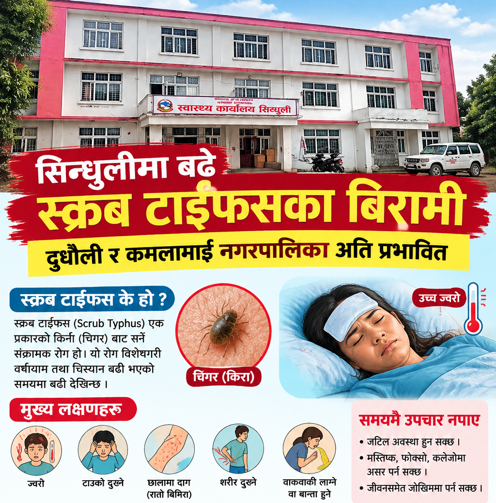 सिन्धुलीमा बढे स्क्रव टाईफसका बिरामी, दुधौली र कमलामाई नगरपालिका अति प्रभावित