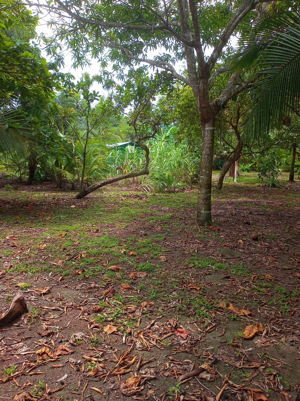 property_image