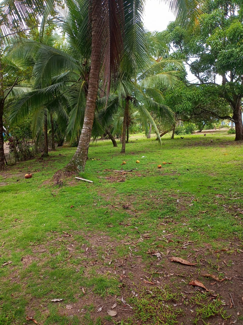 property_image
