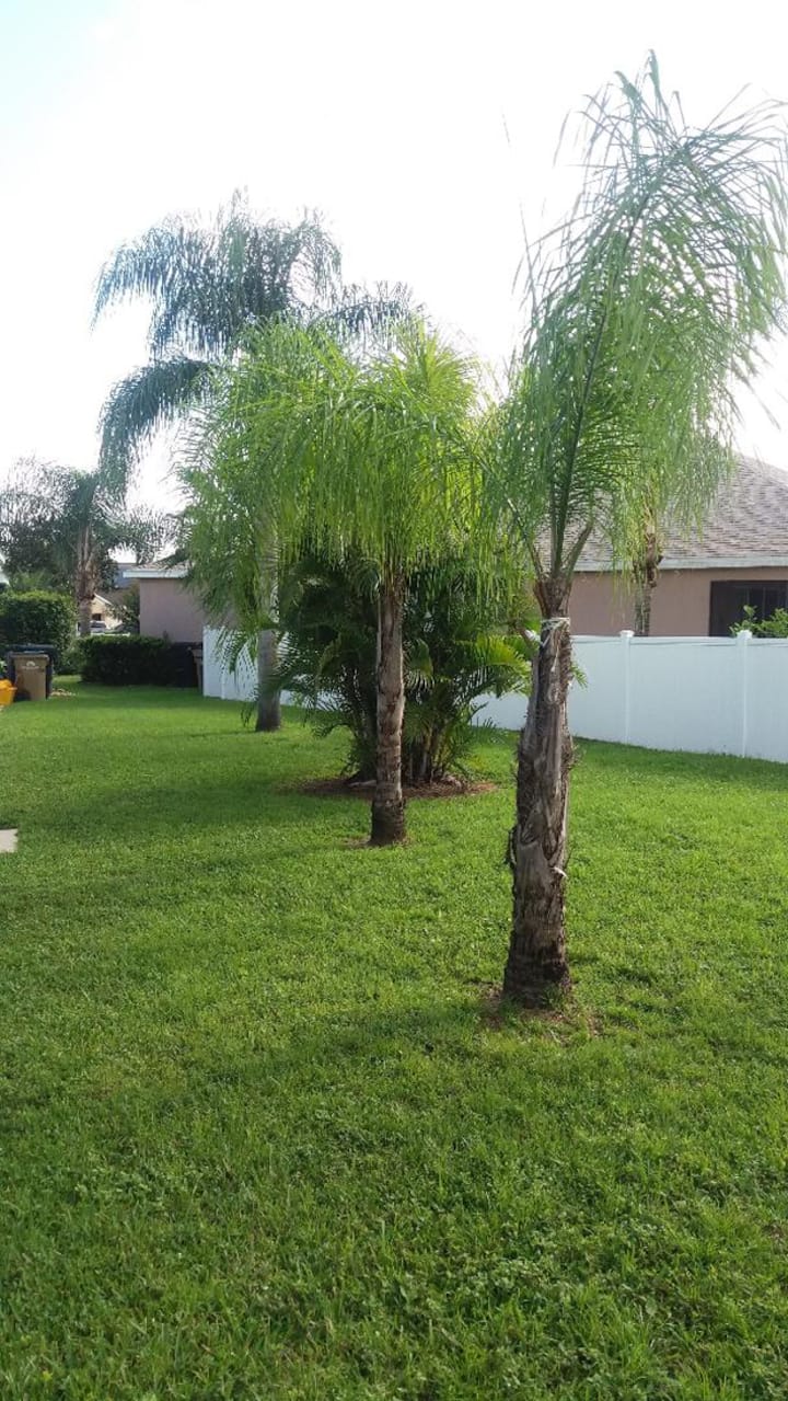 property_image