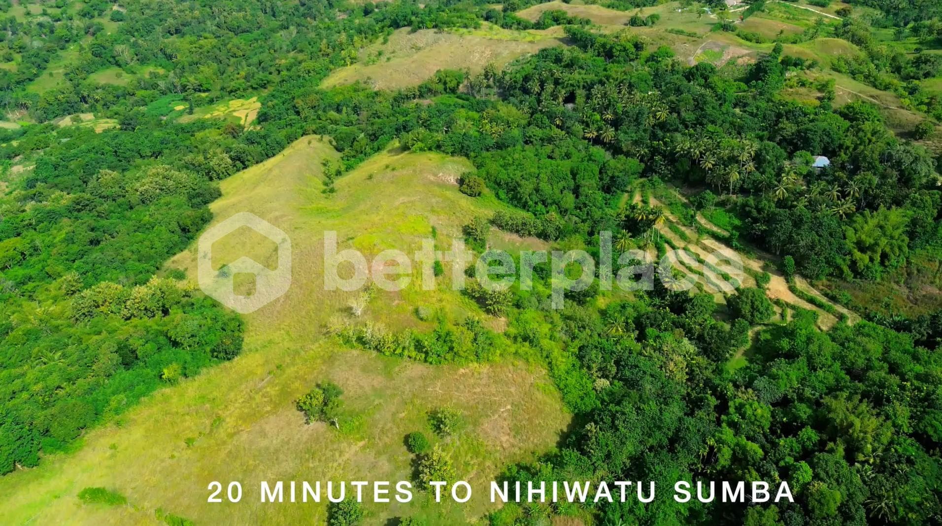 Prestigious 22,008 Sqm Freehold Property in Sumba Offering Serene Nature, Luxury Estate Potential, and Captivating Ocean Landscapes