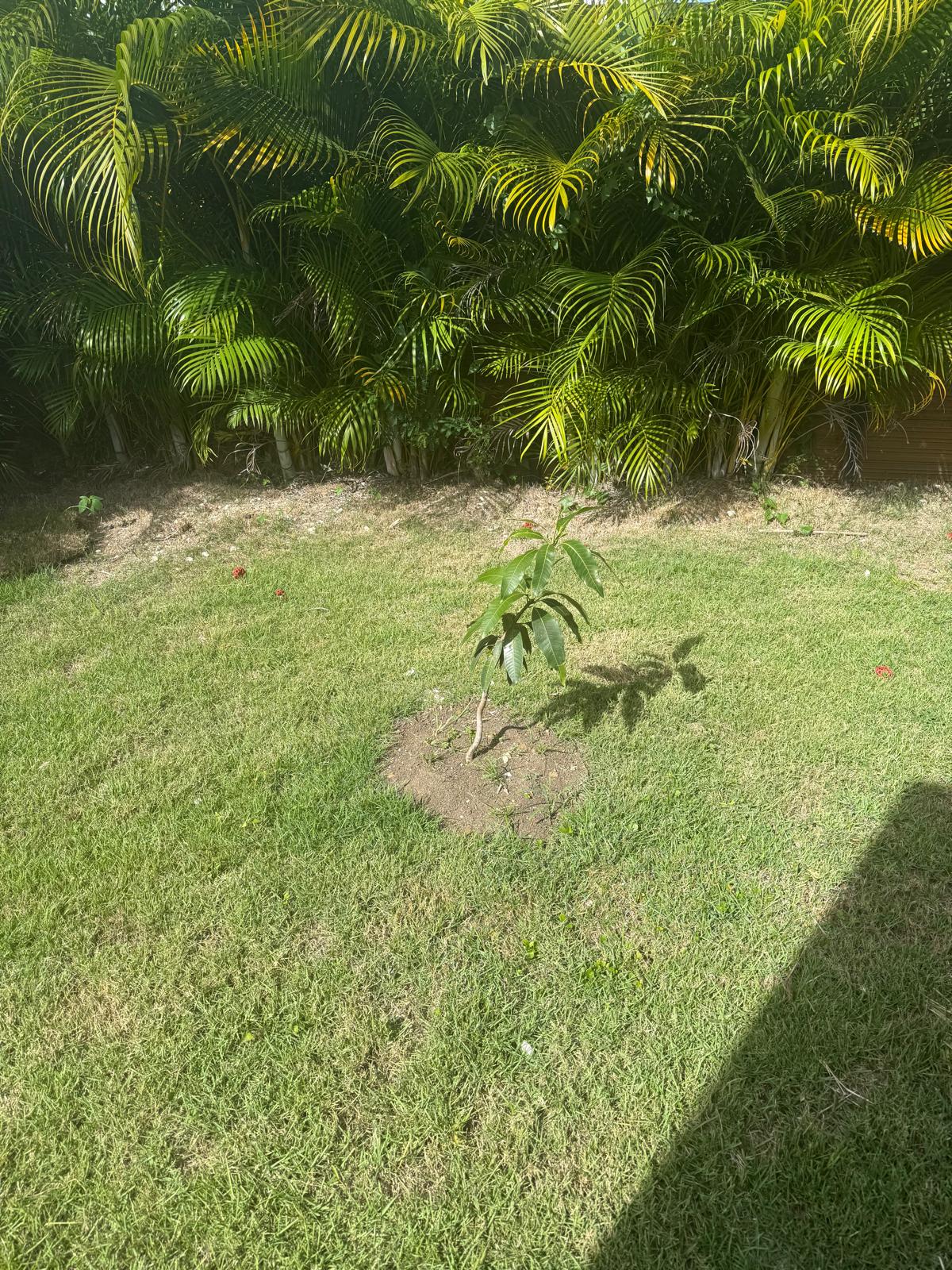 Stunning 3 Bed Villa For Sale In Punta Cana Dominican Republic