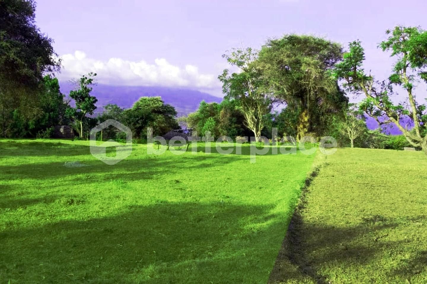 Unlock Bali’s Hidden Gem: Freehold 42.3 are Land in Bubug Karangasem