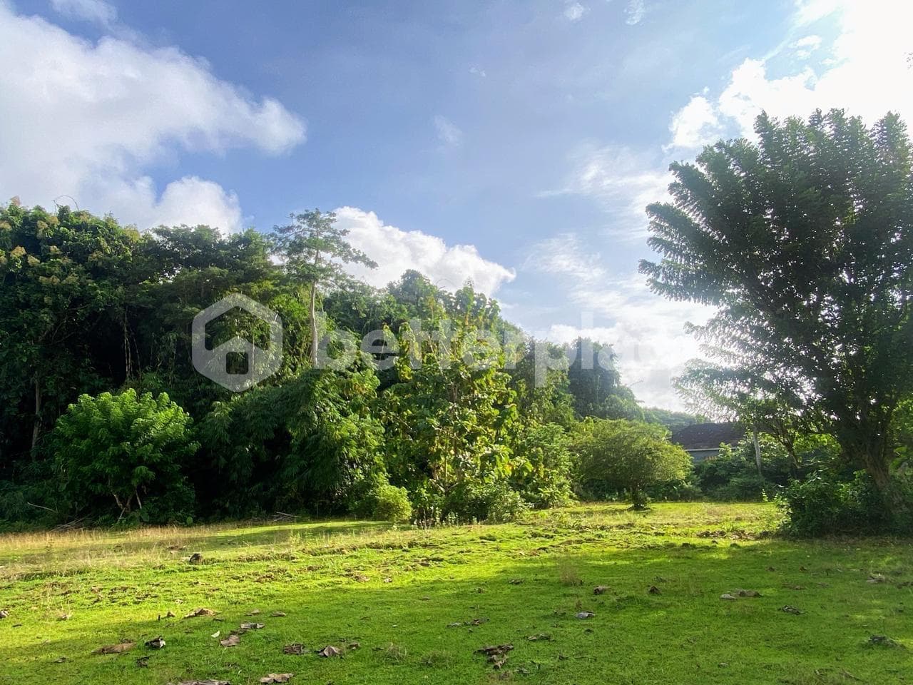 Prime 900 Sqm Leasehold Land in Bukit Ungasan – Perfect for Luxury Villas, Wellness Retreats, or Boutique Hospitality Projects