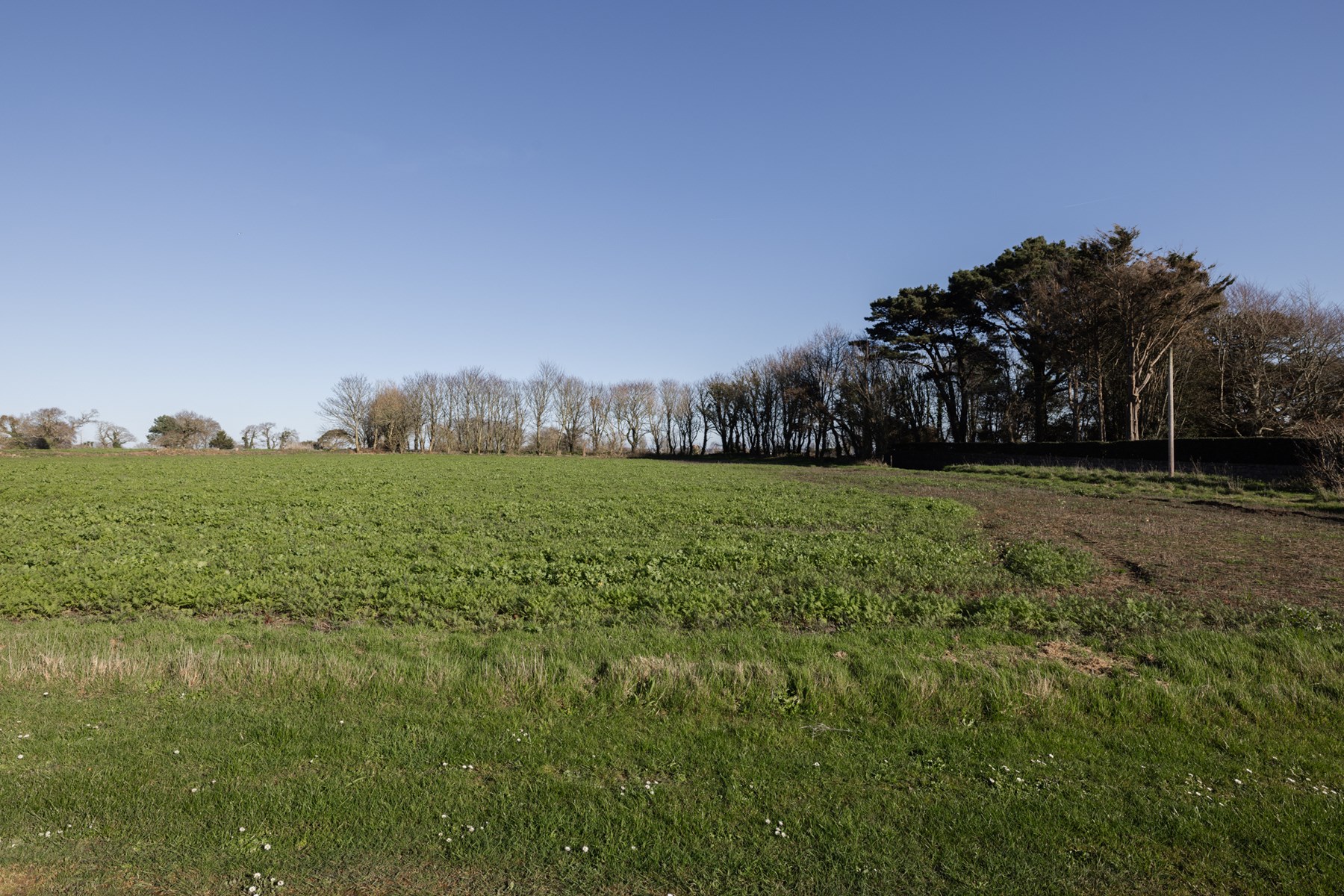 property_image