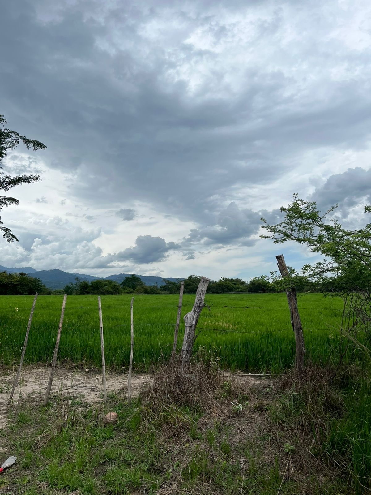 Excellent Plot of land for sale in Jesus de Otoro, Honduras