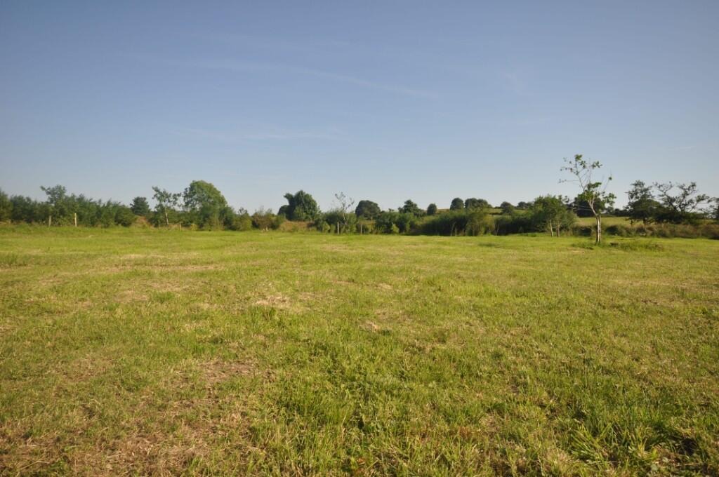 Stunning 2 Bed Irish Cottage For Sale In Foxford County Mayo Ireland