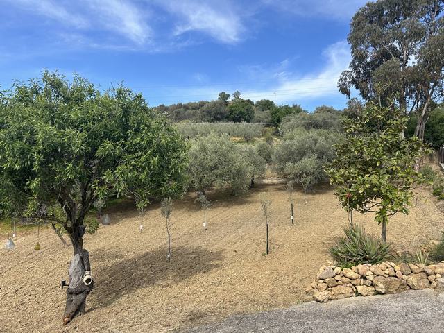 Villa and land in Sicily – Villa Piazza Cda Nannu