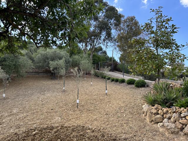 Villa and land in Sicily – Villa Piazza Cda Nannu