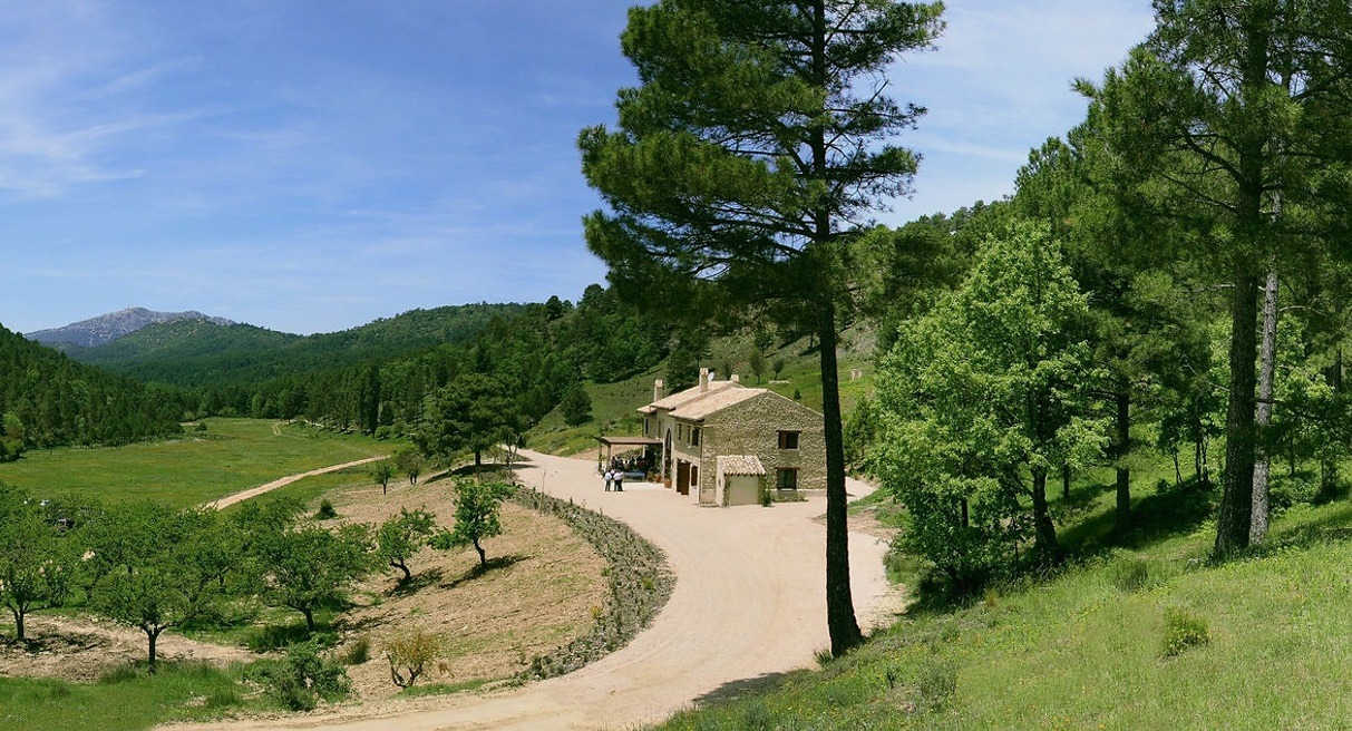 property_image