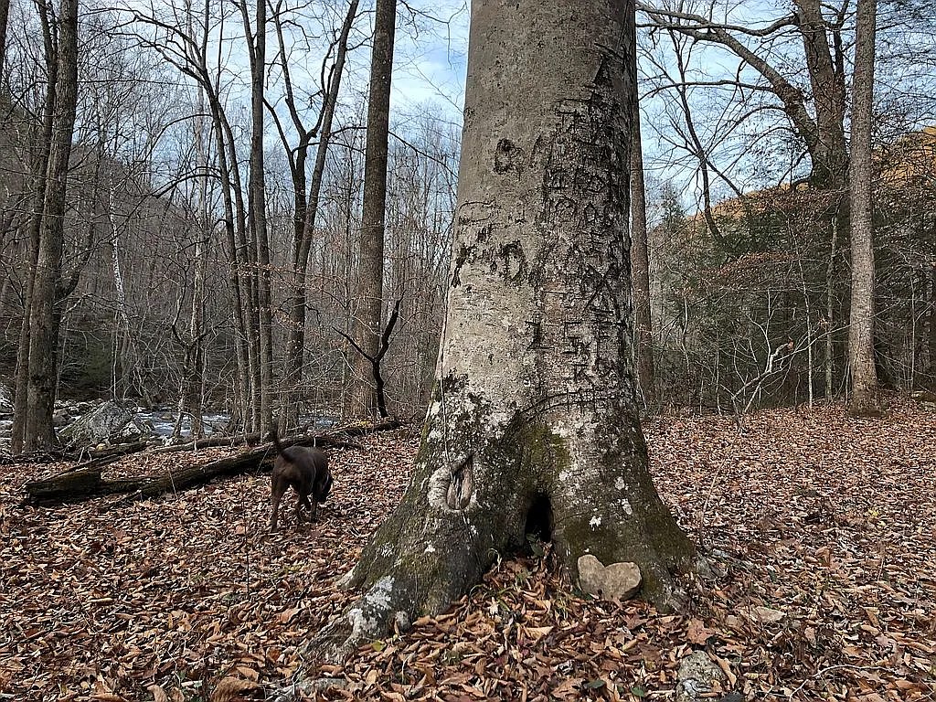 Excellent Plot of land for sale in Dunlap Tennessee USA