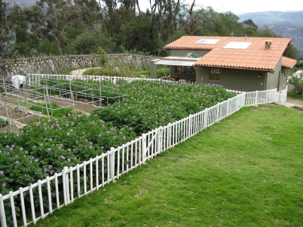 property_image