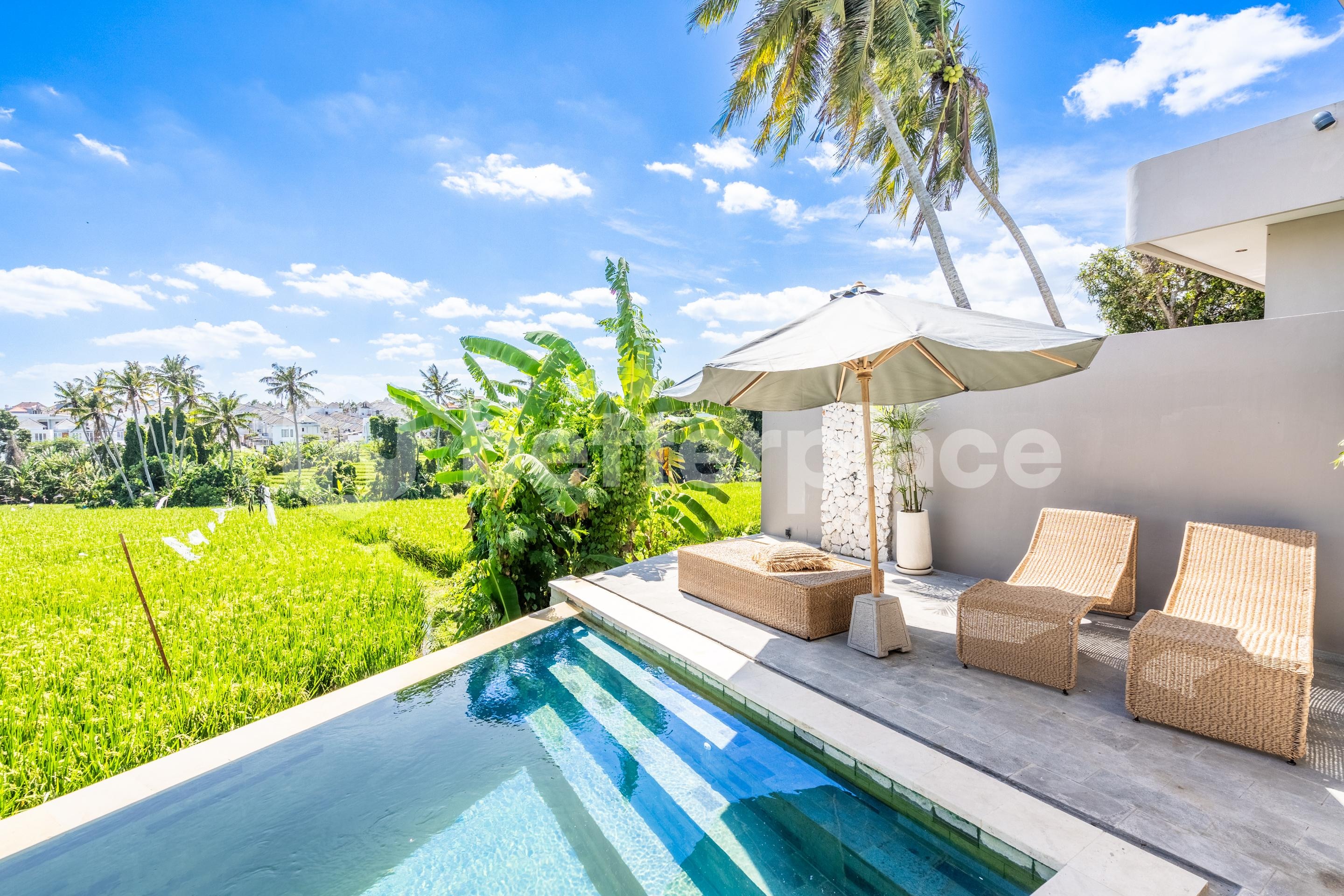 Rice Field Retreat, A 3 Bedroom Leasehold Villa in Tumbak Bayuh, Ready for Investment