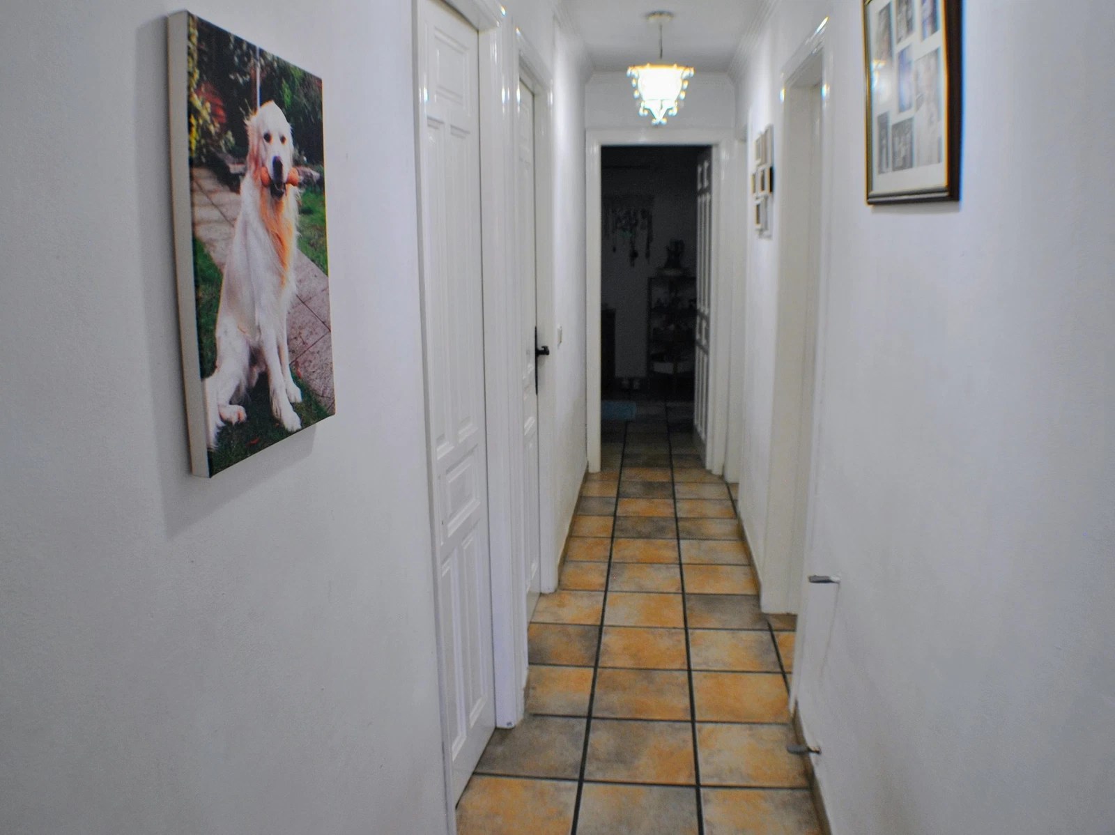 Stunning 6 Bed Villa & Casita For Sale in Turis Valencia Spain