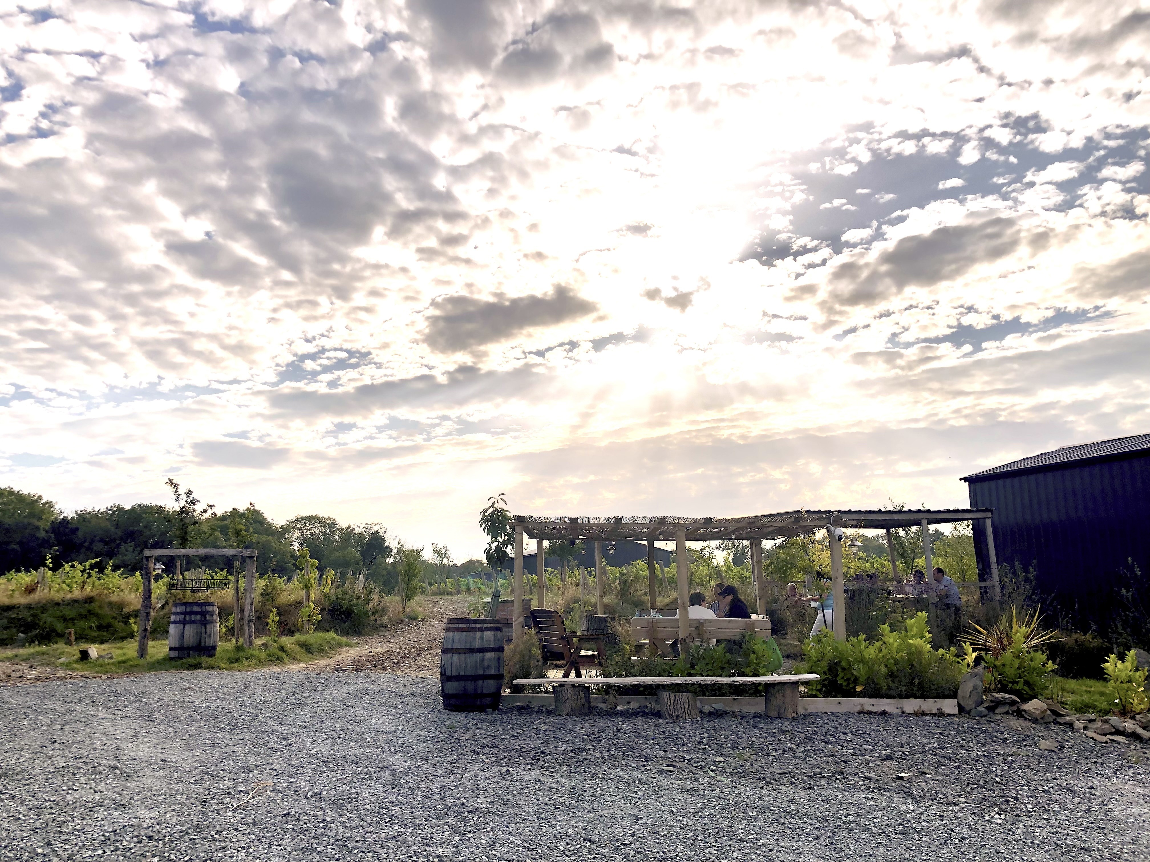 FAIRY TREES WINERY & DISTILLERY For Sale In Dunleer County Louth Ireland
