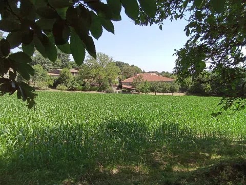 property_image