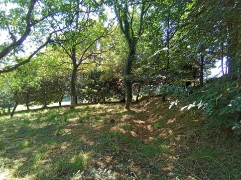 property_image