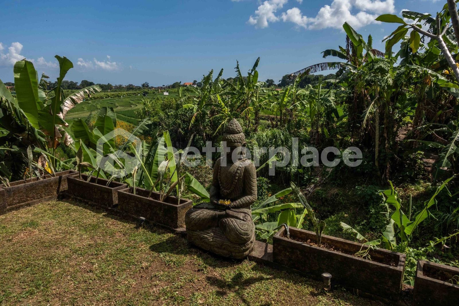 Modern Tropical Villa in Peaceful Tumbak Bayuh – 4 Bedrooms with Ricefield & Sunset Views