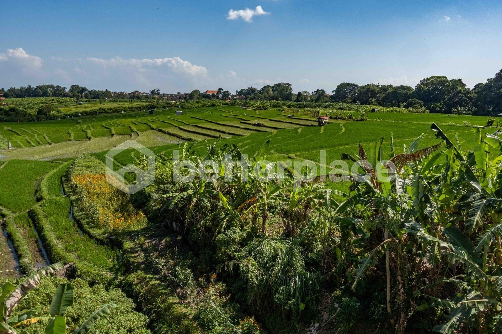 Modern Tropical Villa in Peaceful Tumbak Bayuh – 4 Bedrooms with Ricefield & Sunset Views