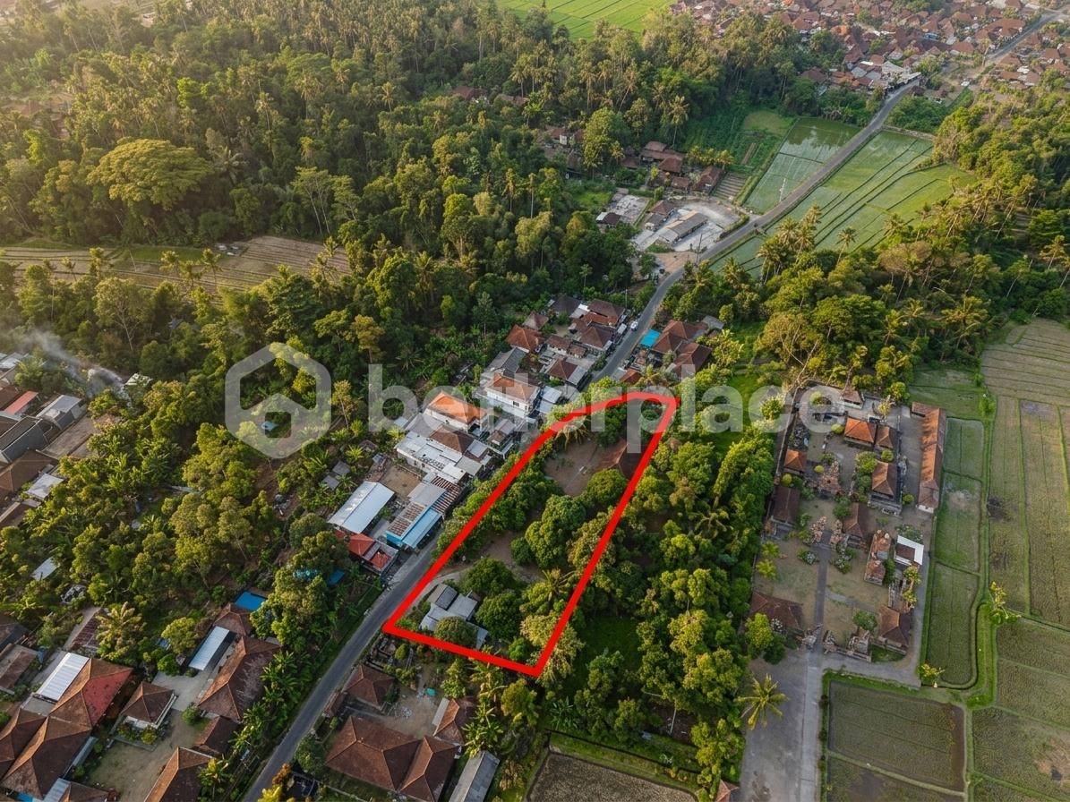 Scale, Title and Location in One Offering — 2,850 sqm Freehold Plot Close to Local Markets and Major Destinations