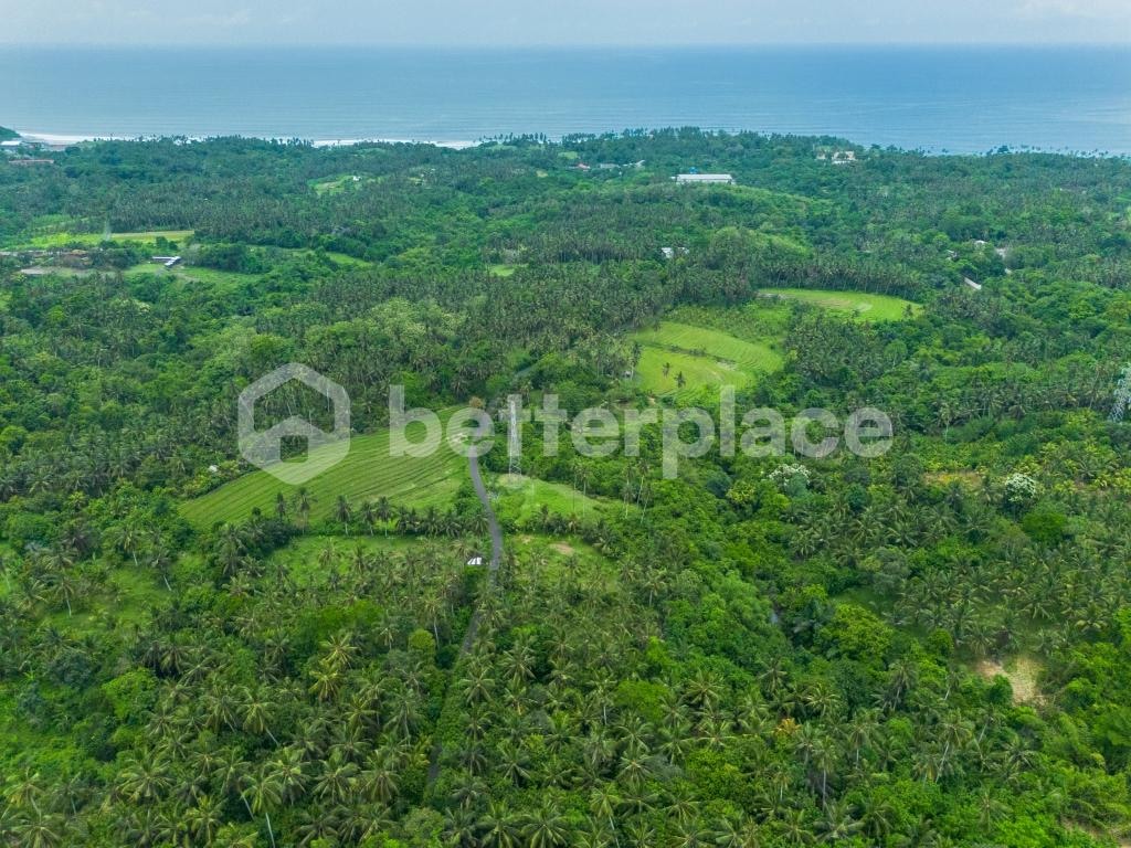 Discover Peaceful Living in Bali – Stunning 2,990 sqm Freehold Land in Balian with Lush Jungle and River Views