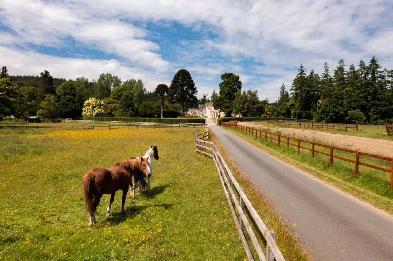 Stunning 4 Bed Tower House For Sale in Glanmore Castle, Glanmore, Ashford Wicklow Ireland