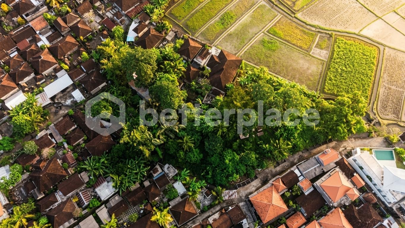 Invest Where Bali Is Heading Next: Expansive Kaba Kaba Parcel with Mountain, Paddy and Sunset Frontage