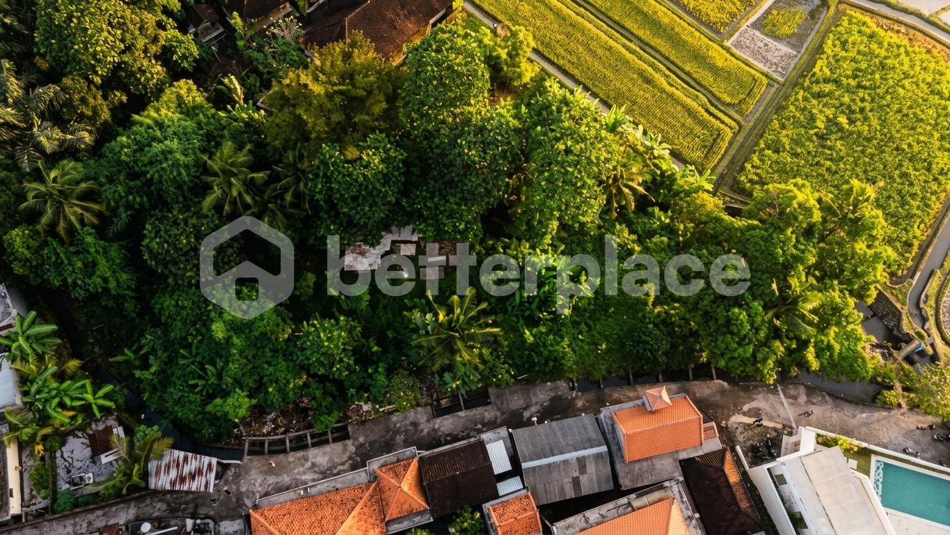 Invest Where Bali Is Heading Next: Expansive Kaba Kaba Parcel with Mountain, Paddy and Sunset Frontage