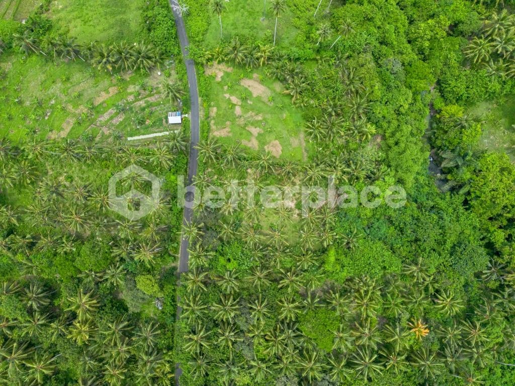 Discover Peaceful Living in Bali – Stunning 2,990 sqm Freehold Land in Balian with Lush Jungle and River Views